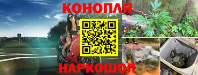 трава Шелехов