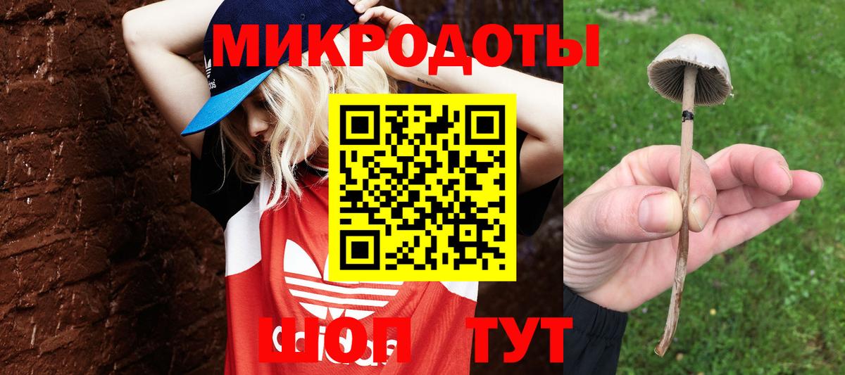 Галлюциногенные грибы Magic Shrooms Магнитогорск