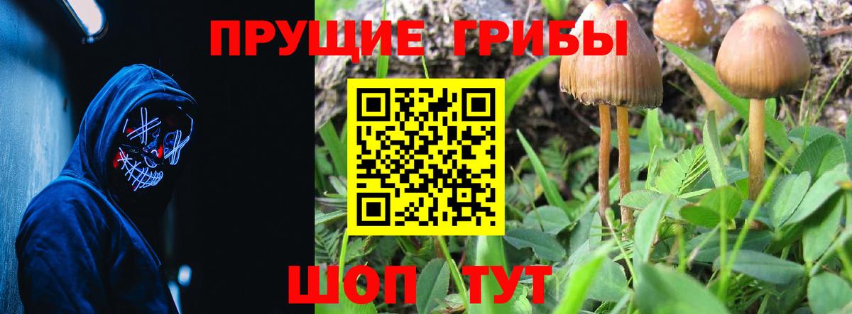Псилоцибиновые грибы GOLDEN TEACHER  Вход с VPN  Магнитогорск 